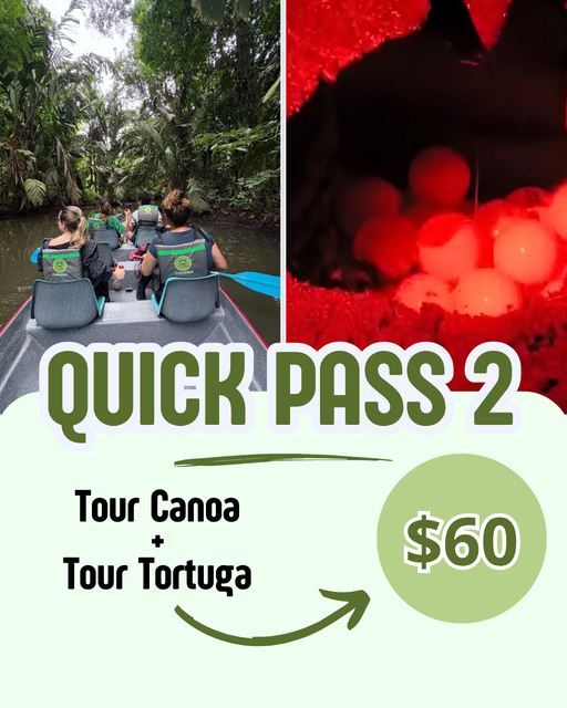 Pack Canoa y Tour Tortuga en Tortuguero
