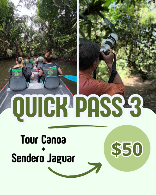 Pack Canoa y Sendero Jaguar en Tortuguero