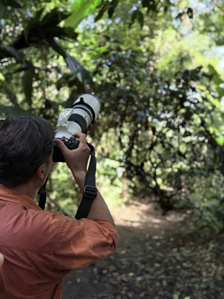 Sendero Jaguar - Tortuguero 2